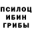 Галлюциногенные грибы MAGIC MUSHROOMS Sigillum Aggel