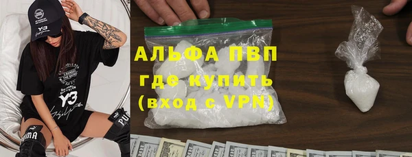 сатива Белоозёрский