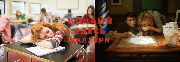 прущие грибы Белокуриха