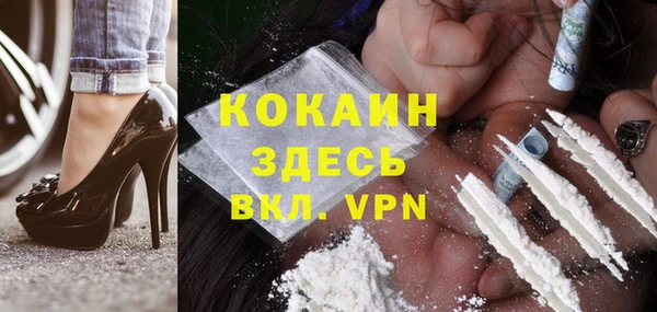 прущие грибы Белокуриха