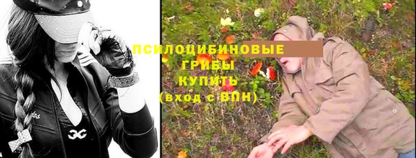 сатива Белоозёрский