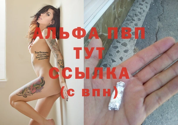 сатива Белоозёрский