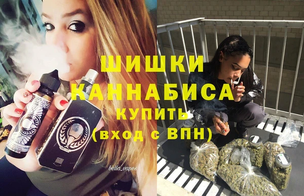 прущие грибы Белокуриха