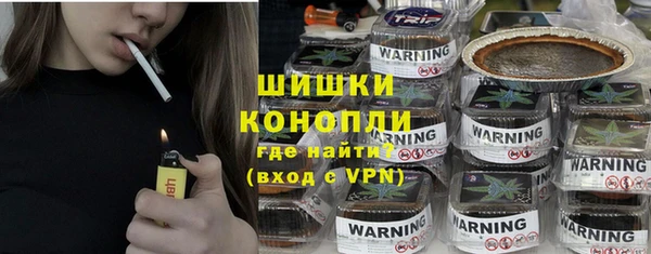 прущие грибы Белокуриха
