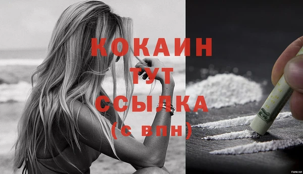 прущие грибы Белокуриха